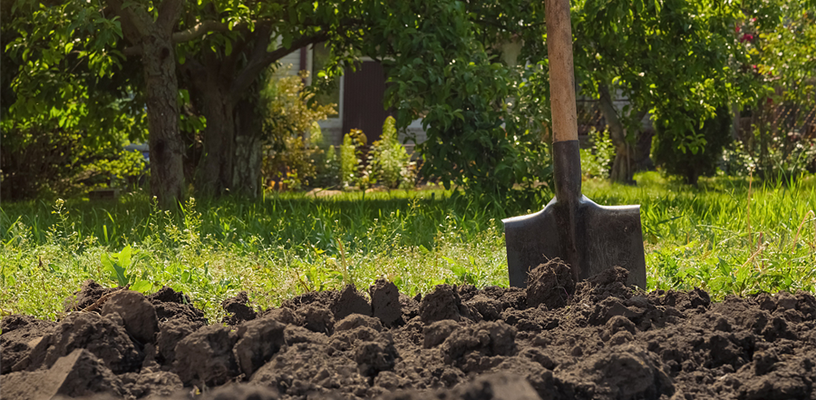 Arboretum Adult Education - Spring 2026