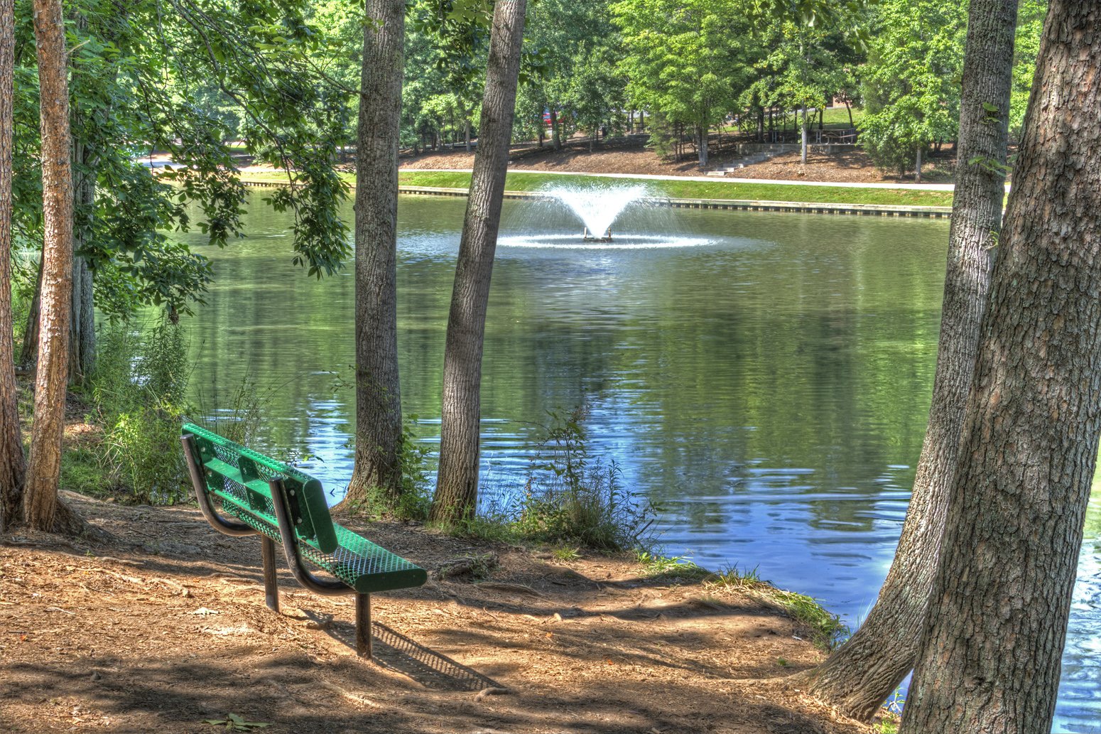 CG Hill Memorial Park