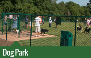 Dog Park