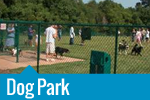 Dog Park